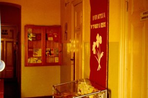 Hol Biblioteki, 1971 r.